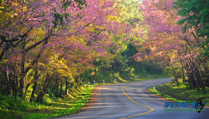 รวม 5 เส้นทางถนนที่สวยที่สุดของเมืองไทย ที่รอนักปั่นไปสัมผัส